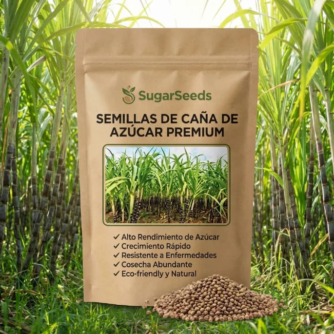 Semillas PREMIUM Caña de Azúcar Tropical